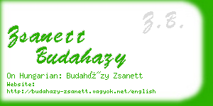 zsanett budahazy business card